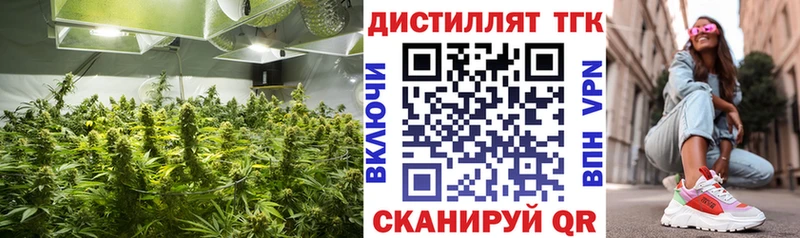 мега как войти  Волжск  Дистиллят ТГК Wax  купить наркотик 