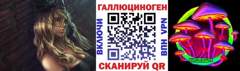 Псилоцибиновые грибы Psilocybe  Волжск 