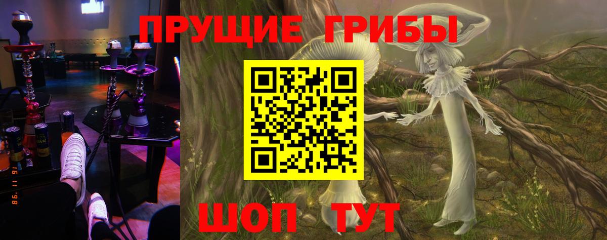 Волжск  Псилоцибиновые грибы мицелий  купить наркотик  Вход с VPN 